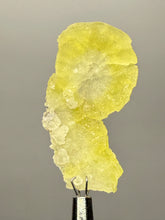 Load image into Gallery viewer, Vibrant Yellow Brucite Thumbnail Mineral Specimen | Collector Crystal from Killa Saifullah District in Balochistan Province, Pakistan
