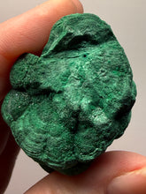 Load image into Gallery viewer, 4.1” High-Grade Malachite Stalactite “Cave” Formation | DR Congo | Mineral Collector Specimen
