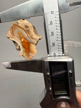 Load image into Gallery viewer, High-Grade Indonesian Sumatra Agate Pair – Vibrant Banded Chalcedony with Rich Color Zoning | Ethical Lapidary &amp; Collector Display Specimens
