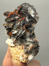 Load image into Gallery viewer, Natural Vanadinite on Matrix | Collector Mineral Specimen | Morocco
