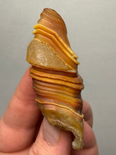 Load image into Gallery viewer, Naturally Sand-Chiseled Gobi Eye Agate | Inner Mongolia Desert Sculpted Specimen
