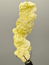Load image into Gallery viewer, Vibrant Yellow Brucite Thumbnail Mineral Specimen | Collector Crystal from Killa Saifullah District in Balochistan Province, Pakistan

