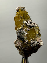 Load image into Gallery viewer, Vibrant Yellow Barite | Collector Display Specimen | Taourirt Mine, Morocco
