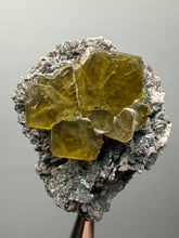 Load image into Gallery viewer, Vibrant Yellow Barite | Collector Display Specimen | Taourirt Mine, Morocco
