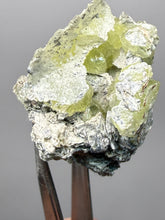 Load image into Gallery viewer, Vibrant Yellow Brucite Thumbnail Mineral Specimen | Collector Crystal from Killa Saifullah District in Balochistan Province, Pakistan
