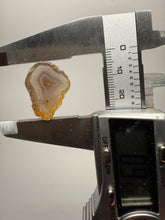Load image into Gallery viewer, Lot of 9 Small Malawi Agate Halves – Polished Rare Colorful Collector Specimens
