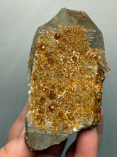 Load image into Gallery viewer, Spessartine Garnet on Smoky Quartz | Wushan Spessartine Mine, Tongbei, Yunxiao Co., Zhangzhou, Fujian, China
