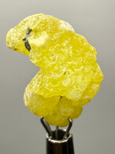Load image into Gallery viewer, Vibrant Yellow Brucite Thumbnail Mineral Specimen | Collector Crystal from Killa Saifullah District in Balochistan Province, Pakistan
