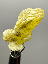 Load image into Gallery viewer, Vibrant Yellow Brucite Thumbnail Mineral Specimen | Collector Crystal from Killa Saifullah District in Balochistan Province, Pakistan
