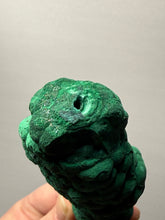 Load image into Gallery viewer, 6.1” High-Grade Malachite Stalactite Botryoidal “Cave” Formation | DR Congo | Mineral Collector Specimen
