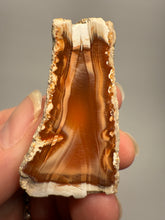 Load image into Gallery viewer, High-Grade Indonesian Sumatra Agate Pair – Vibrant Banded Chalcedony with Rich Color Zoning | Ethical Lapidary &amp; Collector Display Specimens
