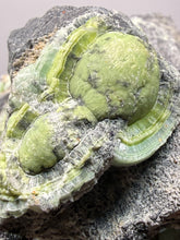 Load image into Gallery viewer, High-Grade Green Wavellite Collectors Specimen - Radiating Botryoidal Crystal Formation - Arkansas, USA
