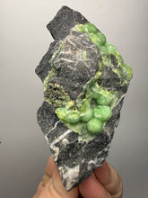 Load image into Gallery viewer, High-Grade Green Wavellite Collectors Specimen - Radiating Botryoidal Crystal Formation - Arkansas, USA
