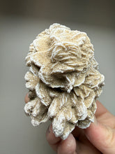Load image into Gallery viewer, Desert Rose Selenite (Gypsum) — Mineral Display Specimen | Mexico
