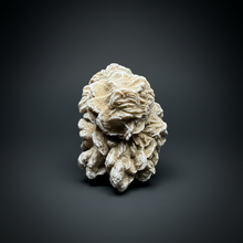 Load image into Gallery viewer, Desert Rose Selenite (Gypsum) — Mineral Display Specimen | Mexico
