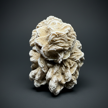 Load image into Gallery viewer, Desert Rose Selenite (Gypsum) — Mineral Display Specimen | Mexico
