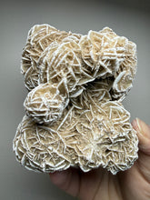 Load image into Gallery viewer, Desert Rose Selenite (Gypsum) — Mineral Display Specimen | Mexico
