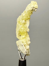 Load image into Gallery viewer, Vibrant Yellow Brucite Thumbnail Mineral Specimen | Collector Crystal from Killa Saifullah District in Balochistan Province, Pakistan
