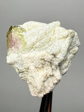 Load image into Gallery viewer, Watermelon Tourmaline on Matrix – Collector Mineral Specimen from Pakistan
