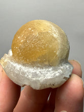 Load image into Gallery viewer, Rare Botryoidal Yellow Fluorite on Quartz Matrix  Collector Mineral Specimen – Maharashtra, India
