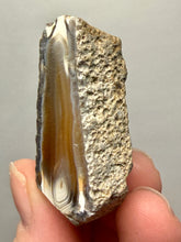 Load image into Gallery viewer, Premium Sumatra Agate (Banded Chalcedony) Display Specimen | Indonesia
