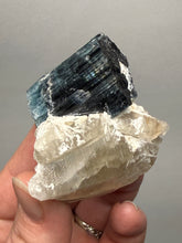 Load image into Gallery viewer, Blue Cap Tourmaline on Quartz Specimen – Pakistan
