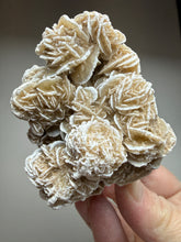 Load image into Gallery viewer, Desert Rose Selenite (Gypsum) — Mineral Display Specimen | Mexico
