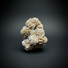 Load image into Gallery viewer, Desert Rose Selenite (Gypsum) — Mineral Display Specimen | Mexico
