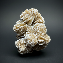 Load image into Gallery viewer, Desert Rose Selenite (Gypsum) — Mineral Display Specimen | Mexico
