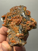 Load image into Gallery viewer, Natural Vanadinite on Matrix | Collector Mineral Specimen | Morocco
