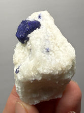 Load image into Gallery viewer, Afghan Lazurite Specimen | Deep Blue Lapis-Grade Crystal on Matrix | Collector Display Mineral

