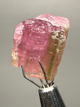 Load image into Gallery viewer, Raw Bi-Color Pink and Green Tourmaline Crystal Specimen | Ocean View Mine, Pala, California, USA
