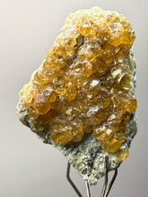 Load image into Gallery viewer, Hessonite Garnet Cluster on Matrix – Thumbnail Collector Specimen from Pakistan | High-Grade Orange-Red Garnet Crystals
