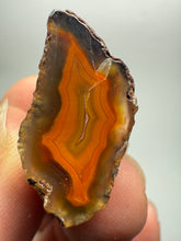 Load image into Gallery viewer, Lot of 9 Small Malawi Agate Halves – Polished Rare Colorful Collector Specimens
