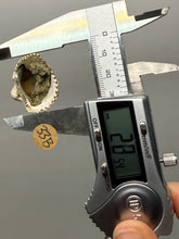 Load image into Gallery viewer, Bivalve (Pelecypoda) Fossil Sea Shell with Chalcopyrite | Mineralized Fossil Specimen | Indonesia
