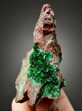 Load image into Gallery viewer, Brochantite Collector Mineral Specimen – Vivid Green Copper Crystals from Morocco
