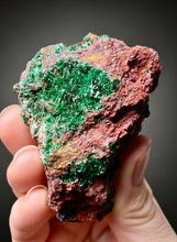 Load image into Gallery viewer, Brochantite Collector Mineral Specimen – Vivid Green Copper Crystals from Morocco
