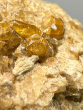 Load image into Gallery viewer, Hessonite Garnet Cluster on Matrix – Natural Collector Specimen from Pakistan | High-Grade Orange-Red Garnet Crystals
