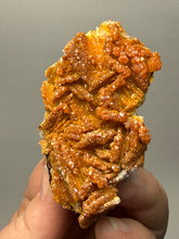 Load image into Gallery viewer, Natural Vanadinite on Matrix | Collector Mineral Specimen | Morocco
