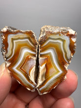 Load image into Gallery viewer, High-Grade Indonesian Sumatra Agate Pair – Vibrant Banded Chalcedony with Rich Color Zoning | Ethical Lapidary &amp; Collector Display Specimens
