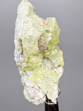 Load image into Gallery viewer, Vibrant Yellow Brucite Thumbnail Mineral Specimen | Collector Crystal from Killa Saifullah District in Balochistan Province, Pakistan
