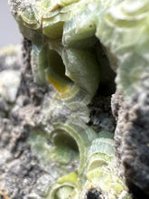 Load image into Gallery viewer, High-Grade Green Wavellite Collectors Specimen - Radiating Botryoidal Crystal Formation - Arkansas, USA
