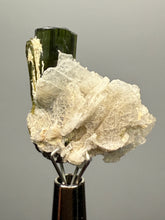 Load image into Gallery viewer, Green Cap Stak Nala Tourmaline with Cleavelandite – Haramosh Mountains, Pakistan | Thumbnail Specimen
