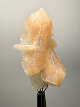 Load image into Gallery viewer, High-Grade Apophyllite on Pink Stilbite Zeolite | Indian Collector Mineral Specimen
