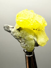 Load image into Gallery viewer, Vibrant Yellow Brucite Thumbnail Mineral Specimen | Collector Crystal from Killa Saifullah District in Balochistan Province, Pakistan
