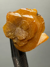 Load image into Gallery viewer, High-Grade Orange Wulfenite Collector Display Specimen | La Morita Mine, Chihuahua, Mexico

