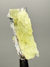 Load image into Gallery viewer, Vibrant Yellow Brucite Thumbnail Mineral Specimen | Collector Crystal from Killa Saifullah District in Balochistan Province, Pakistan
