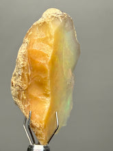 Load image into Gallery viewer, Precious Opal with Color Play | Welo, Ethiopia
