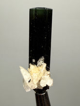 Load image into Gallery viewer, Dark Green Cap Stak Nala Tourmaline and Cleavelandite – Haramosh Mountains, Pakistan | Thumbnail Specimen

