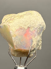 Load image into Gallery viewer, Precious Opal with Color Play | Welo, Ethiopia
